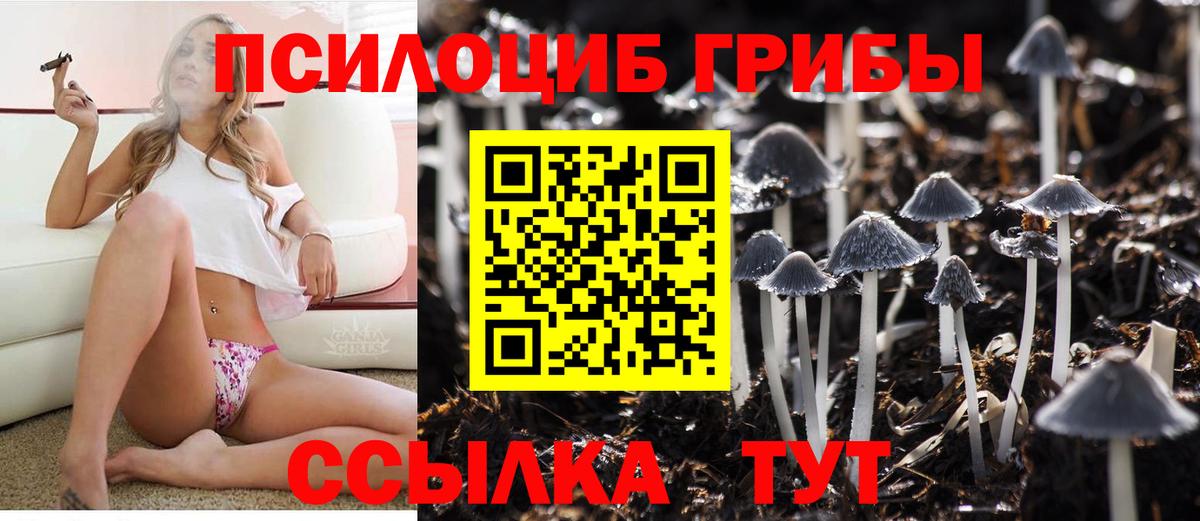 Галлюциногенные грибы GOLDEN TEACHER Можга